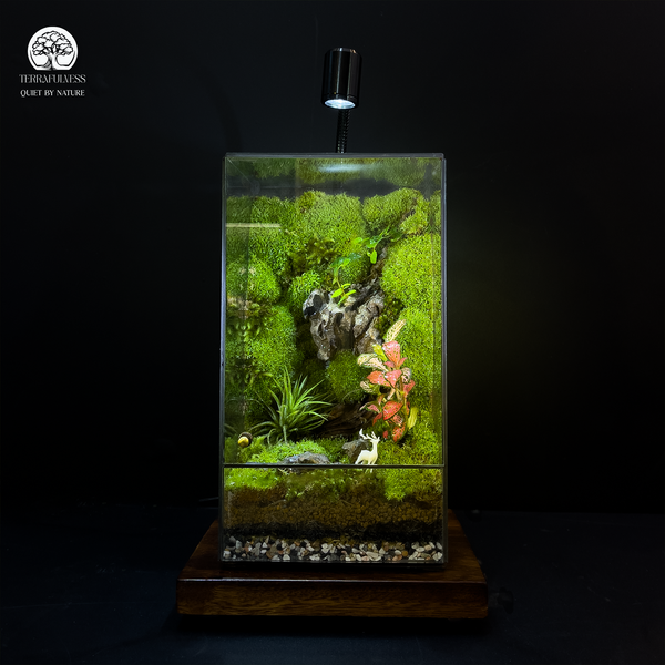 Cấp ẩm và hoàn thiện – Cần Chuẩn Bị Những Gì Khi Làm Terrarium Tại Nhà?