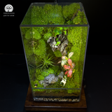 Terrarium Lộc Uyển - Bể Chữ Nhật - Trang Trí Nghệ Thuật