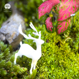 Terrarium Lộc Uyển - Bể Chữ Nhật - Trang Trí Nghệ Thuật