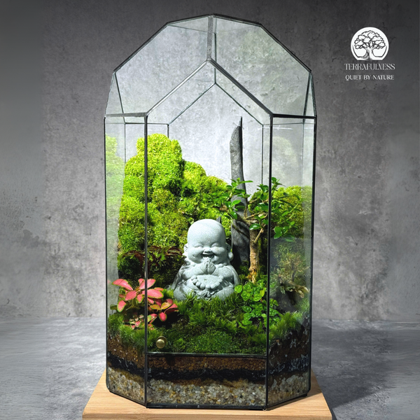 Terrarium