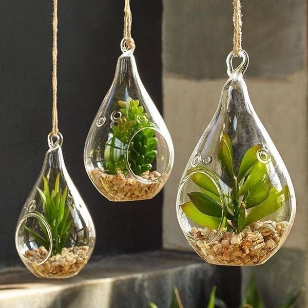 Terrarium hình giọt nước treo