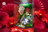 Terrarium Lân An- Bể Chữ Nhật Đứng - Trang Trí Không Gian Tết