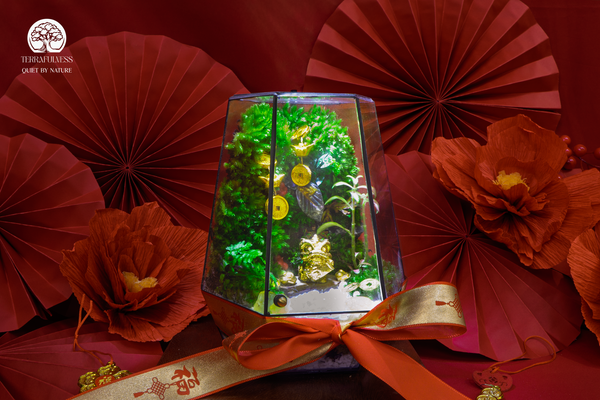 Sức sống bền bỉ, dễ dàng chăm sóc – Quà Tết Không Ồn Ào – Terrarium Và Sự Tĩnh Lặng Đáng Giá