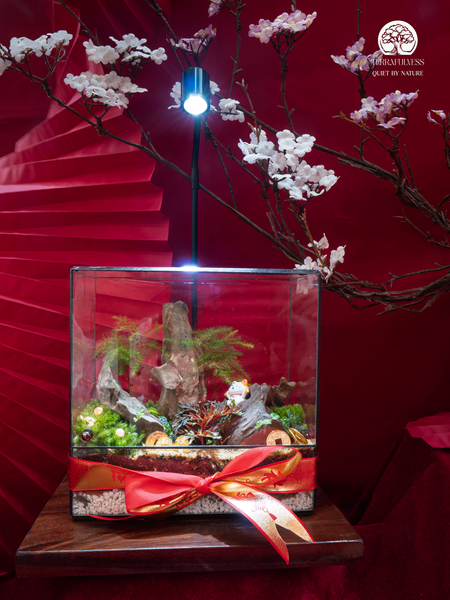 Terrarium - Khi Món Quà "Biết Thở" Và Biết Nói