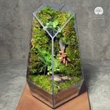 Terrafulness
