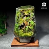 Terrafulness