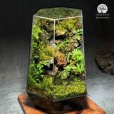 Terrafulness