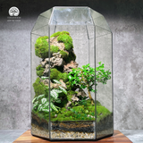 Terrafulness