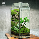 Terrafulness