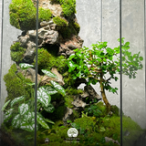 Terrafulness