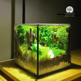 Terrarium Vườn Cổ Tích | Bể Hộp Vuông | Quà Tặng Sáng Tạo