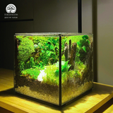 Terrarium Vườn Cổ Tích | Bể Hộp Vuông | Quà Tặng Sáng Tạo