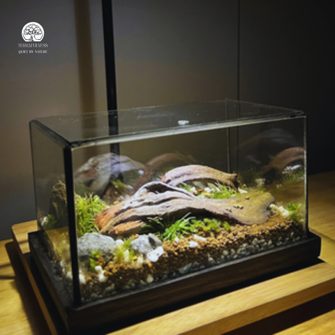 Terrarium