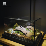 Terrarium