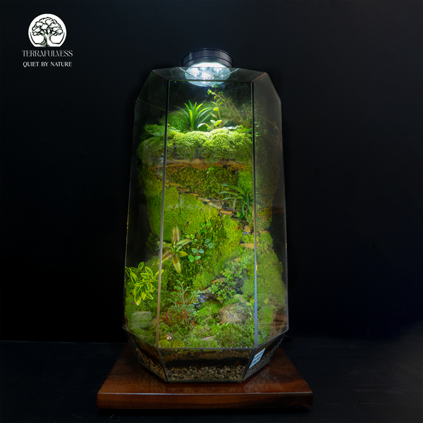 Sức Hấp Dẫn Từ Thiên Nhiên Nguyên Bản – Top 3 Chủ Đề Terrarium Được Đặt Hàng Nhiều Nhất Tại…