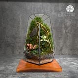 Terrarium