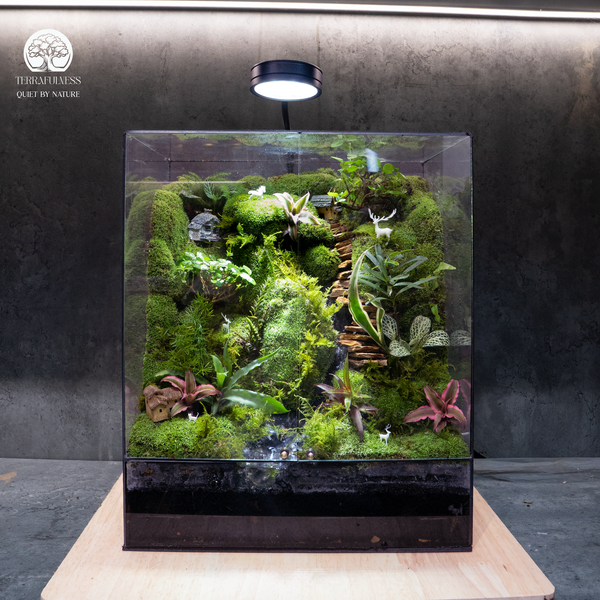 Terrarium
