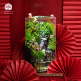 Terrarium Hồng Niên Thác Vũ – Dòng Chảy Tài Lộc Cho Năm Mới An Khang