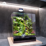 Terrarium