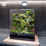 Terrarium