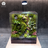 Terrarium