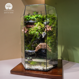 Terrarium Emerald Falls – Bể Đa Giác Đứng – Decor Không Gian Sống