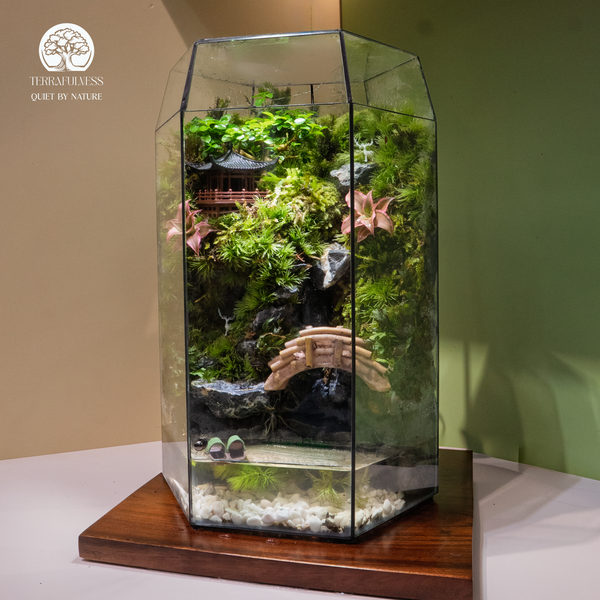 Terrarium