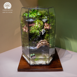 Terrarium Emerald Falls – Bể Đa Giác Đứng – Decor Không Gian Sống