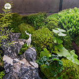 Terrarium Celestial Beast Forest | Trụ Vuông Decor Phòng Khách