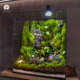 Terrarium Celestial Beast Forest | Trụ Vuông Decor Phòng Khách