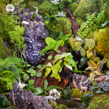 Terrarium Celestial Beast Forest | Trụ Vuông Decor Phòng Khách