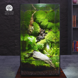 Terrarium Thuý Vân - Bể Trụ - Quà Tặng Và Trang Trí