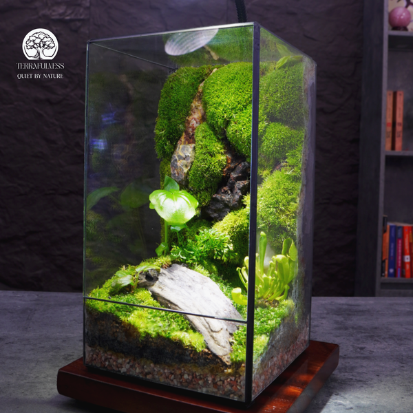 Moss Terrarium - Sắc Xanh Thiên Nhiên