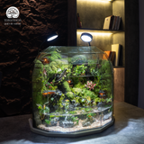 Terrarium