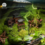 Terrarium