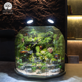 Terrarium