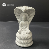 Terrafulness