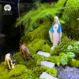 Terrarium Lối Nhỏ An Lành - Bể Đa Giác - Mang Hơi Thở Thiền Và Bình Yên