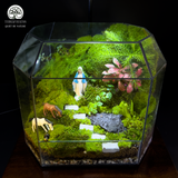 Terrarium Lối Nhỏ An Lành - Bể Đa Giác - Mang Hơi Thở Thiền Và Bình Yên