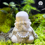Terrarium An Nhiên - Bể Đa Giác - Quà Tặng Và Trang Trí Nhà Cửa
