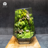 Terrarium