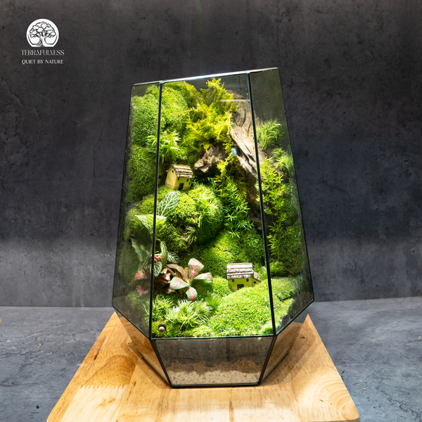 Terrarium