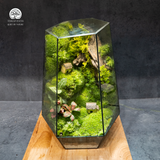 Terrarium