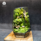 Terrarium