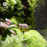 Terrarium