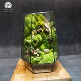 Terrarium
