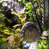 Terrarium Hidden Haven – Bể Đa Giác – Quà Tặng Ý Nghĩa