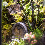 Terrarium Hidden Haven – Bể Đa Giác – Quà Tặng Ý Nghĩa