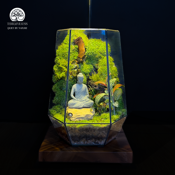 #3. "Zen Garden Mini" – Sự tĩnh lặng của đá và rêu