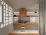  DS1 HOUSE 